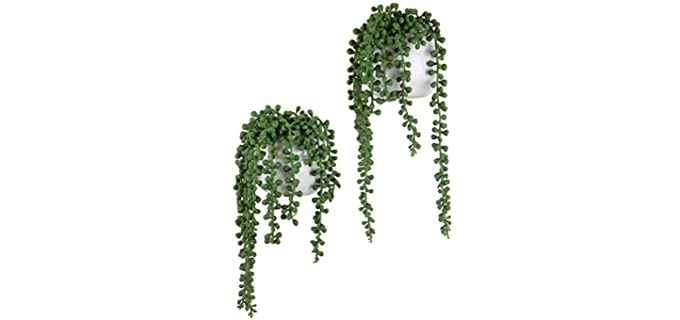 MyGift Hanging - Minimal Shower Plant