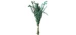 Selfcare Fresh -  Eucalyptus Bouquet for Shower