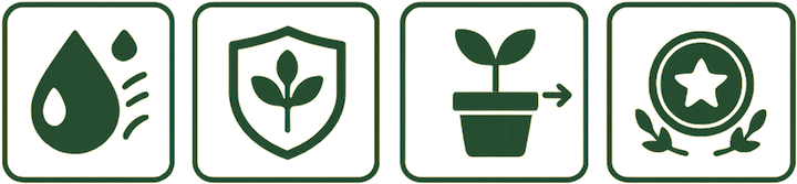 Best Indoor Plants for Shower & Bathroom Features