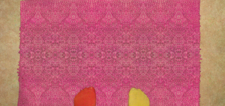 Bathroom Rug Bathroom Rug