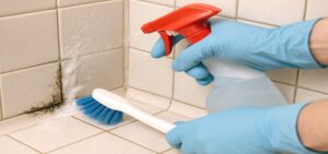 Best Shower Cleaner Solutions to Prevent & Remove Mold & Mildew Featured Image