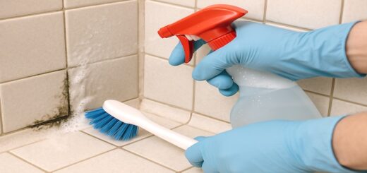 Best Shower Cleaner Solutions to Prevent & Remove Mold & Mildew Featured Image