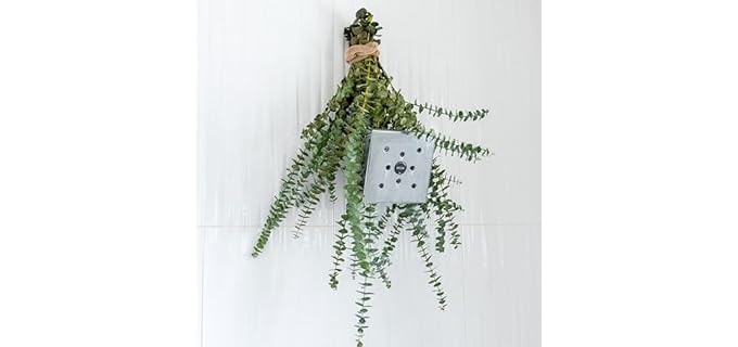Self Care Shower Fresh Eucalyptus - Fresh Aromatic Live Bouquet for Shower Relaxation