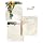 YSOHQ Wedding Arch Draping Fabric 2 Panel 6 Yards 20ft Chiffon Fabric Decorations Backdrop Curtain Tulle for Party Ceremony Reception(Ivory+Ivory)